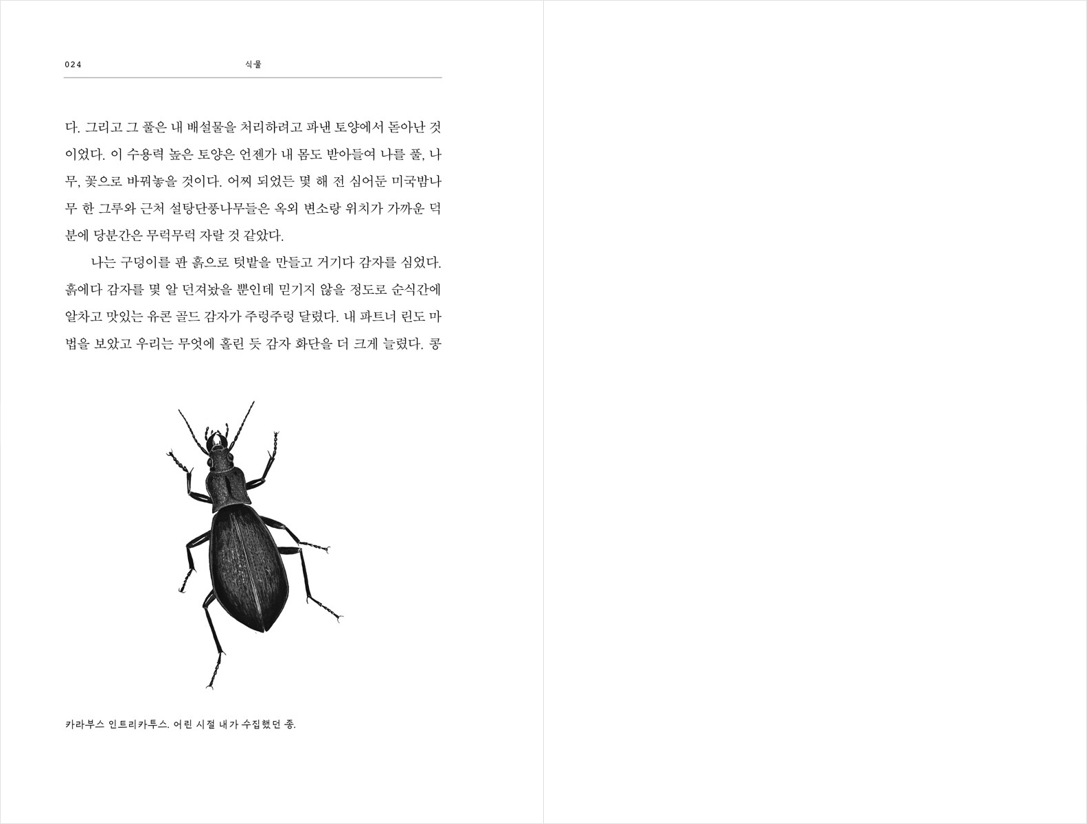 미리보기 10